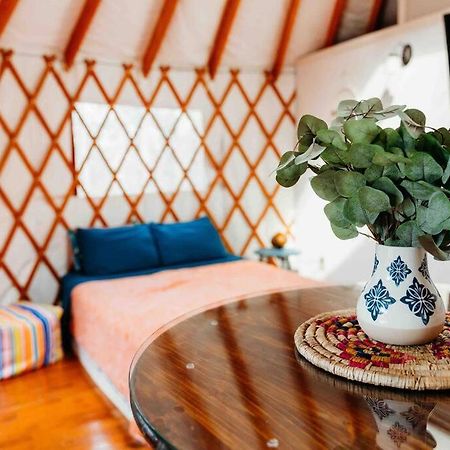 Heated & Ac Yurt Villa Penn Yan Dış mekan fotoğraf